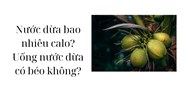 Nước dừa bao nhiêu calo? Uống nước dừa có béo không?