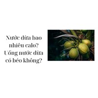 Nước dừa bao nhiêu calo? Uống nước dừa có béo không?