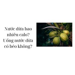 Nước dừa bao nhiêu calo? Uống nước dừa có béo không?