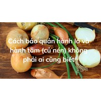 Cách bảo quản hành lá và hành tăm (củ nén) không phải ai cũng biết