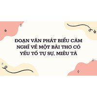 Đoạn văn phát biểu cảm nghĩ về một bài thơ có yếu tố tự sự, miêu tả
