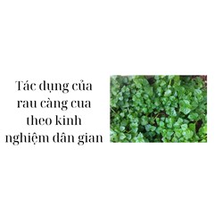 Tác dụng của rau càng cua theo kinh nghiệm dân gian