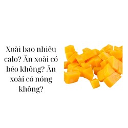 Xoài bao nhiêu calo? Ăn xoài có béo không? Ăn xoài có nóng không?