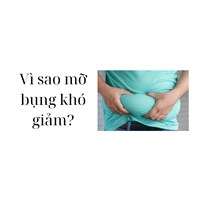 Vì sao mỡ bụng khó giảm?