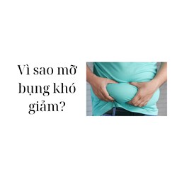 Vì sao mỡ bụng khó giảm?