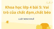 Khoa học lớp 4 bài 5: Vai trò của chất đạm,chất béo