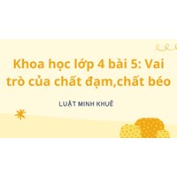 Khoa học lớp 4 bài 5: Vai trò của chất đạm,chất béo