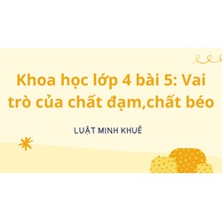 Khoa <strong>học</strong> <strong>lớp</strong> <strong>4</strong> bài 5: Vai trò của chất đạm,chất béo