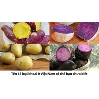Tên 12 loại khoai ở Việt Nam có thể bạn chưa biết