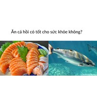 Ăn cá hồi có tốt cho sức khỏe không?