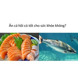 Ăn cá hồi có tốt cho sức khỏe không?