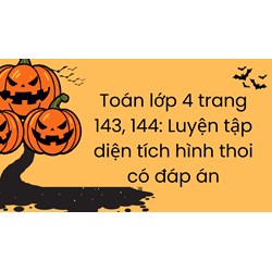 Toán lớp 4 trang 143, 144: Luyện tập diện tích hình thoi có đáp án