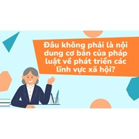 Đâu không phải là nội dung cơ bản của pháp luật về phát triển các lĩnh vực xã hội?