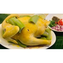 10 cách làm gà hấp thơm ngon hấp dẫn đơn giản cho gia đình