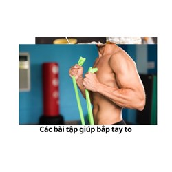 Các bài tập giúp bắp tay to