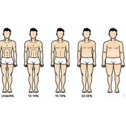 Tỷ lệ % mỡ cơ thể lý tưởng cho cơ thể