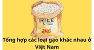 Tổng hợp các loại gạo khác nhau ở Việt Nam và cách sử dụng phù hợp