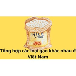 Tổng hợp các loại gạo khác nhau ở Việt Nam và cách sử dụng phù hợp