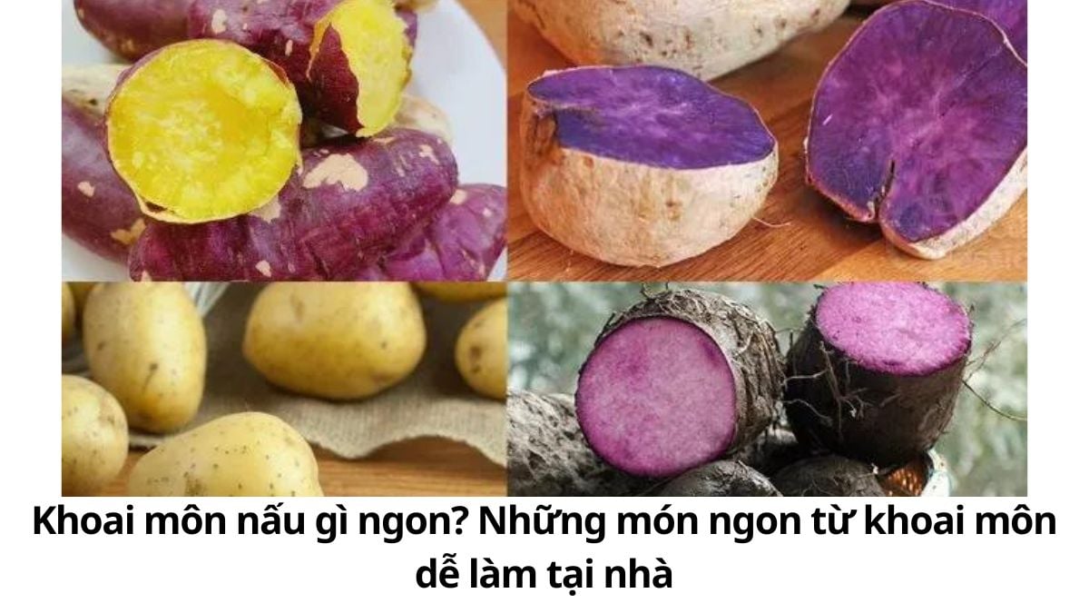 Khoai môn nấu gì ngon? Những món ngon từ khoai môn dễ làm tại nhà