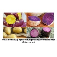 Khoai môn nấu gì ngon? Những món ngon từ khoai môn dễ làm tại nhà