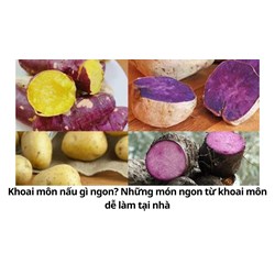 Khoai môn nấu gì ngon? Những món ngon từ khoai môn dễ làm tại nhà