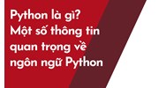 Python là gì? Một số thông tin quan trọng về ngôn ngữ Python