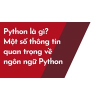 Python là gì? Một số thông tin quan trọng về ngôn ngữ Python