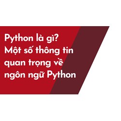 Python là gì? Một số thông tin quan trọng về ngôn ngữ Python