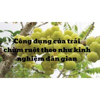 Công dụng của trái chùm ruột theo như kinh nghiệm dân gian
