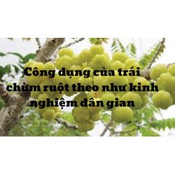 Công dụng của trái chùm ruột theo như kinh nghiệm dân gian