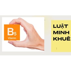 Những loại thực phẩm bổ sung vitamin B5 cho cơ thể khỏe mạnh
