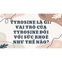Tyrosine là gì? Vai trò của Tyrosine đối với sức khoẻ như thế nào?