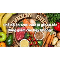 Chế độ ăn 1200 calo là gì? Có tác dụng giảm cân hay không?