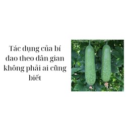 Tác dụng của bí đao theo dân gian không phải ai cũng biết