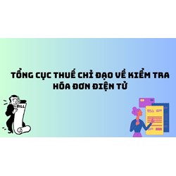 Tổng cục Thuế chỉ đạo về kiểm tra hóa đơn điện tử