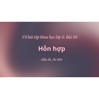 Vở bài tập Khoa học lớp 5 bài 36 Hỗn hợp (đầy đủ, chi tiết)