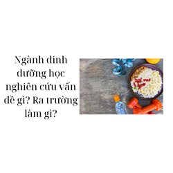Ngành dinh dưỡng học nghiên cứu vấn đề gì? Ra trường làm gì?