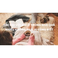 Tác hại với khi ở trong nhà quá nhiều không phải ai cũng biết