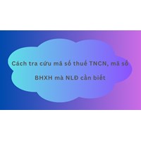 Cách tra cứu mã số thuế TNCN, mã số BHXH mà NLĐ cần biết