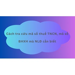 Cách tra cứu mã số thuế TNCN, mã số BHXH mà NLĐ cần biết