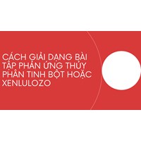 Cách giải dạng bài tập phản ứng thủy phân tinh bột hoặc xenlulozo