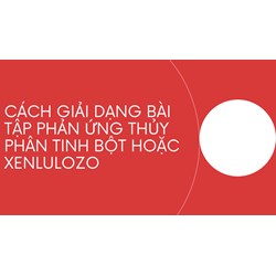 Cách giải dạng bài tập phản ứng thủy phân tinh bột hoặc xenlulozo