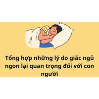 Tổng hợp những lý do giấc ngủ ngon lại quan trọng đối với con người
