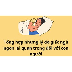 Tổng hợp những lý do giấc ngủ ngon lại quan trọng đối với con người