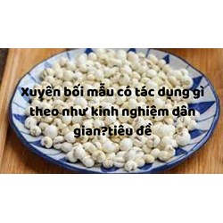Xuyên bối mẫu có tác dụng gì theo như kinh nghiệm dân gian?
