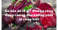 Củ dền đỏ là gì? Những công dụng của củ dền không phải ai cũng biết