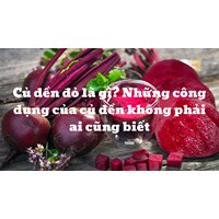 Củ dền đỏ là gì? Những công dụng của củ dền không phải ai cũng biết