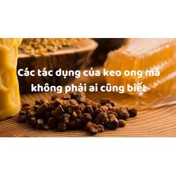 Các tác dụng của keo ong mà không phải ai cũng biết