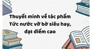 Thuyết minh về tác phẩm Tức nước vỡ bờ siêu hay, đạt điểm cao