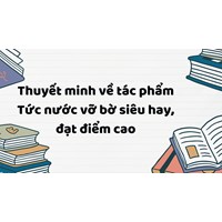 Thuyết minh về tác phẩm Tức nước vỡ bờ siêu hay, đạt điểm cao